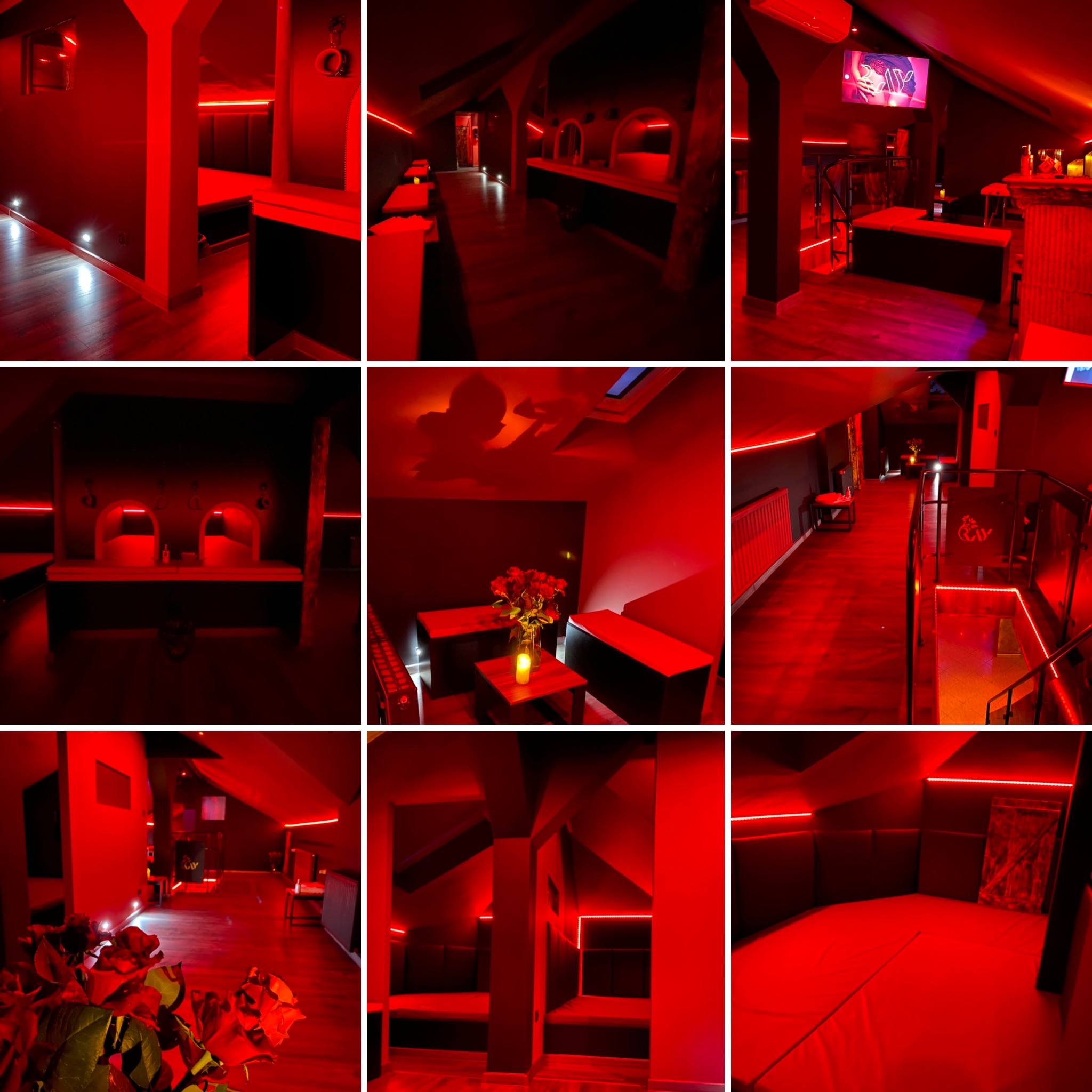 Galeria - Ray Club - Poznań